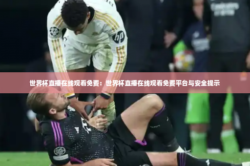世界杯直播在线观看免费：世界杯直播在线观看免费平台与安全提示