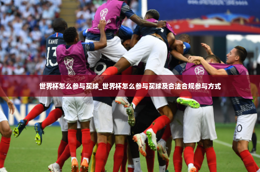 世界杯怎么参与买球_世界杯怎么参与买球及合法合规参与方式