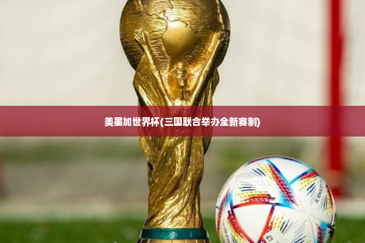 美墨加世界杯(三国联合举办全新赛制)