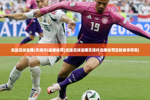 龙珠足球直播(无插件)直播体育(龙珠足球直播无插件直播体育流畅赛事观看)-第4张图片-体育博彩