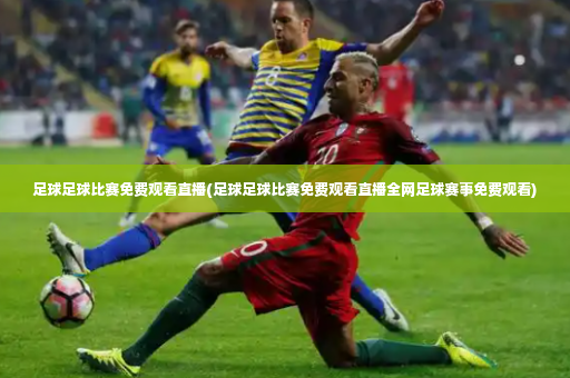 足球足球比赛免费观看直播(足球足球比赛免费观看直播全网足球赛事免费观看)-第2张图片-体育博彩