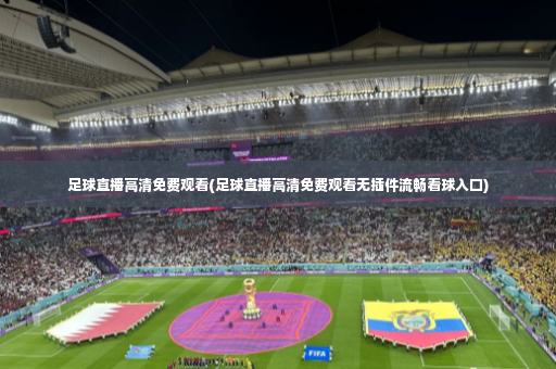 足球直播高清免费观看(足球直播高清免费观看无插件流畅看球入口)-第1张图片-体育博彩