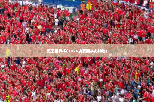美国世界杯(2026决赛圈举办场地)