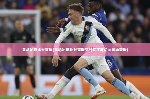 竞彩足球比分直播(竞彩足球比分直播实时文字与动画赛事直播)-第2张图片-体育博彩