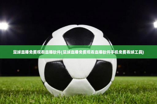 足球直播免费观看直播软件(足球直播免费观看直播软件手机免费看球工具)-第2张图片-体育博彩