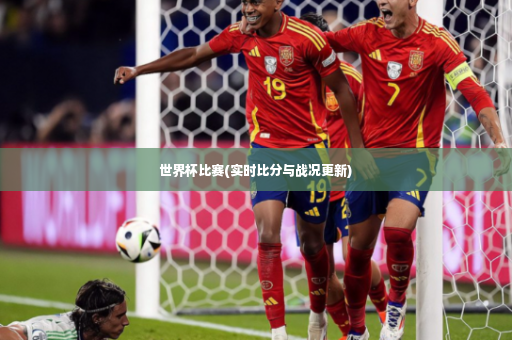 世界杯比赛(实时比分与战况更新)-第2张图片-体育博彩