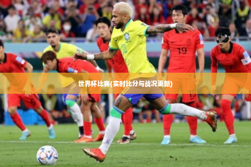 世界杯比赛(实时比分与战况更新)
