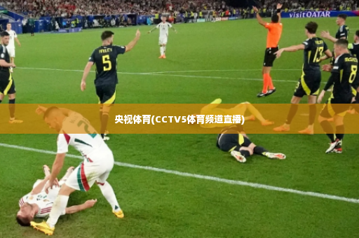 央视体育(CCTV5体育频道直播)