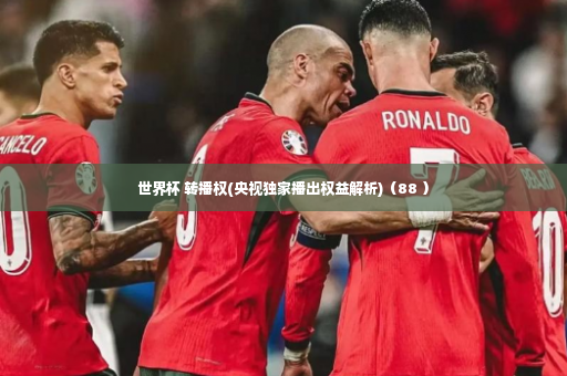 世界杯 转播权(央视独家播出权益解析)（88 ）-第2张图片-体育博彩