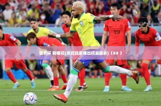 世界杯 转播权(央视独家播出权益解析)（88 ）-第3张图片-体育博彩
