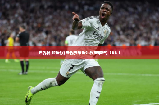 世界杯 转播权(央视独家播出权益解析)（88 ）-第4张图片-体育博彩