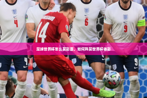 足球世界杯怎么买彩票，如何购买世界杯体彩-第3张图片-体育博彩