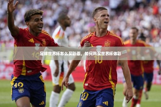 足球世界杯怎么买彩票，如何购买世界杯体彩-第4张图片-体育博彩