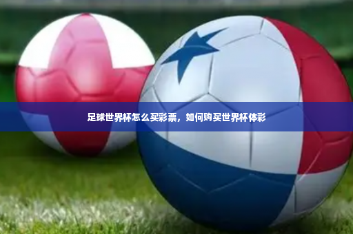 足球世界杯怎么买彩票，如何购买世界杯体彩