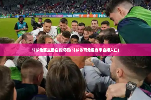 斗球免费直播在线观看(斗球体育免费赛事直播入口)-第4张图片-体育博彩