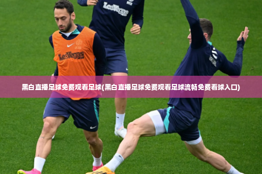 黑白直播足球免费观看足球(黑白直播足球免费观看足球流畅免费看球入口)-第2张图片-体育博彩