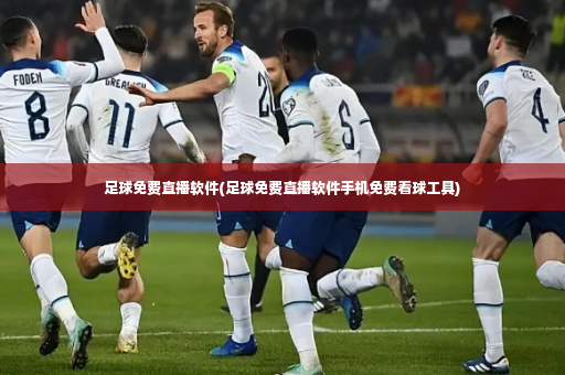 足球免费直播软件(足球免费直播软件手机免费看球工具)