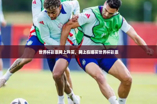 世界杯彩票网上购买，网上在哪买世界杯彩票-第1张图片-体育博彩