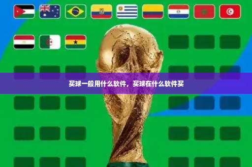 买球一般用什么软件,买球在什么软件买-第2张图片-体育博彩 买球一般用什么软件,买球在什么软件买-第2张图片-体育博彩
