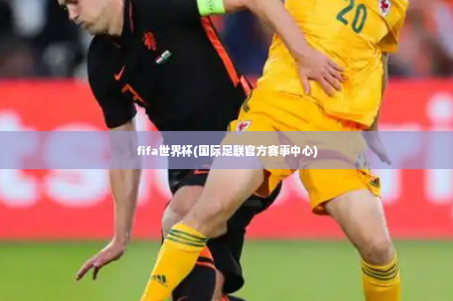 fifa世界杯(国际足联官方赛事中心)