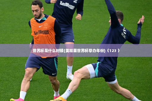 世界杯是什么时候(美加墨世界杯举办年份)（123 ）-第4张图片-体育博彩