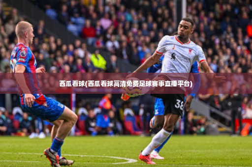 西瓜看球(西瓜看球高清免费足球赛事直播平台)-第3张图片-体育博彩