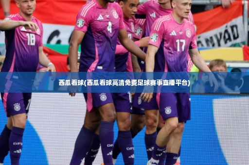 西瓜看球(西瓜看球高清免费足球赛事直播平台)-第4张图片-体育博彩