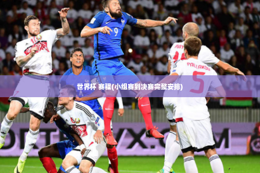世界杯 赛程(小组赛到决赛完整安排)-第3张图片-体育博彩