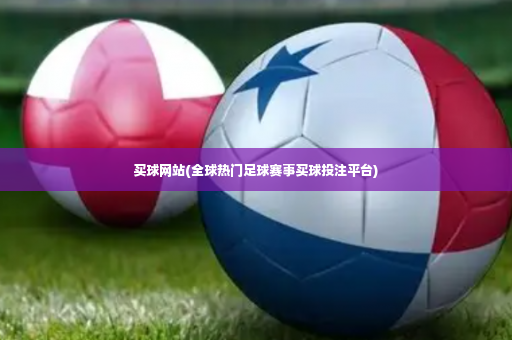买球网站(全球热门足球赛事买球投注平台)-第2张图片-体育博彩