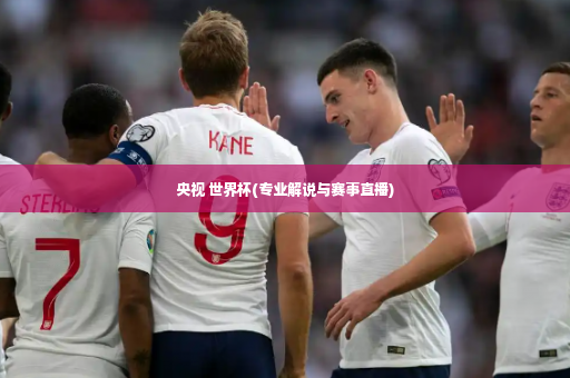央视 世界杯(专业解说与赛事直播)-第3张图片-体育博彩 央视 世界杯(专业解说与赛事直播)-第3张图片-体育博彩