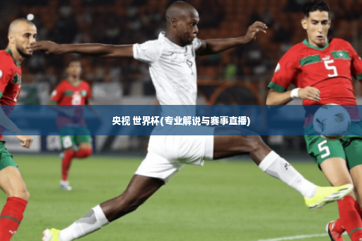 央视 世界杯(专业解说与赛事直播)-第4张图片-体育博彩 央视 世界杯(专业解说与赛事直播)-第4张图片-体育博彩