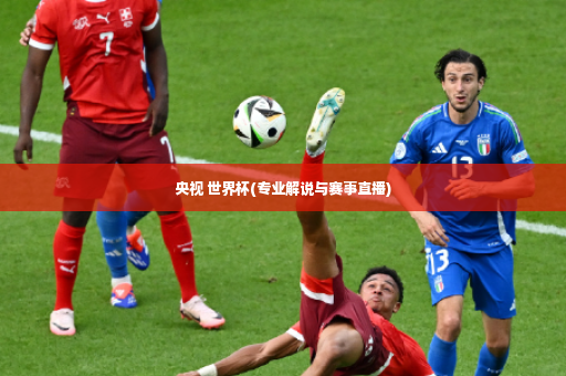央视 世界杯(专业解说与赛事直播)