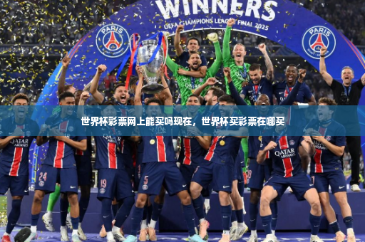 世界杯彩票网上能买吗现在，世界杯买彩票在哪买-第3张图片-体育博彩