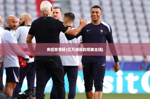 央视世界杯(亿万球迷的观赛主场)-第2张图片-体育博彩