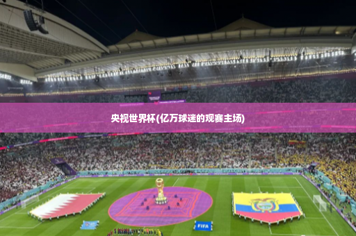 央视世界杯(亿万球迷的观赛主场)-第3张图片-体育博彩