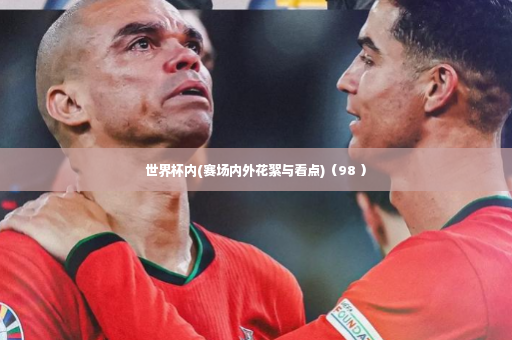 世界杯内(赛场内外花絮与看点)（98 ）