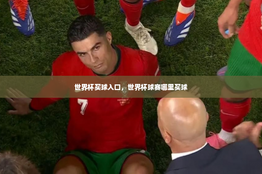 世界杯买球入口，世界杯球赛哪里买球-第3张图片-体育博彩