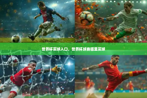世界杯买球入口，世界杯球赛哪里买球