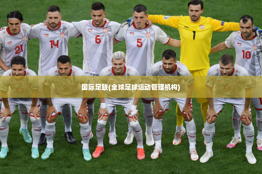 国际足联(全球足球运动管理机构)