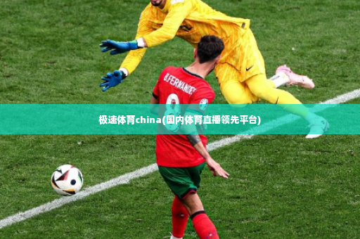极速体育china(国内体育直播领先平台)