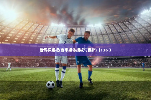 世界杯版权(赛事媒体授权与保护)（136 ）-第2张图片-体育博彩