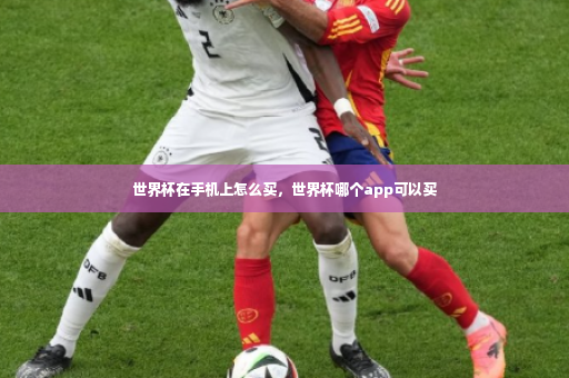 世界杯在手机上怎么买，世界杯哪个app可以买-第4张图片-体育博彩