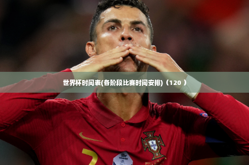 世界杯时间表(各阶段比赛时间安排)（120 ）-第3张图片-体育博彩