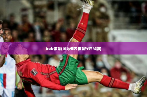 bob体育(国际知名体育投注品牌)
