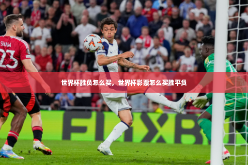 世界杯胜负怎么买，世界杯彩票怎么买胜平负