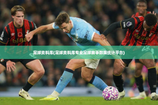 足球资料库(足球资料库专业足球赛事数据统计平台)-第2张图片-体育博彩
