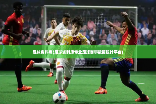 足球资料库(足球资料库专业足球赛事数据统计平台)-第3张图片-体育博彩