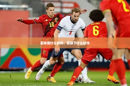 买球用什么软件，买球下什么软件-第3张图片-体育博彩
