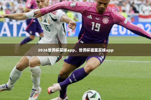 2026世界杯买球app,世界杯哪里买球app-第2张图片-体育博彩 2026世界杯买球app,世界杯哪里买球app-第2张图片-体育博彩