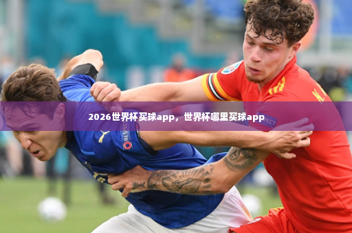 2026世界杯买球app，世界杯哪里买球app-第4张图片-体育博彩